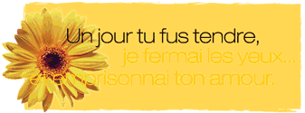 A l'amour c trop beau